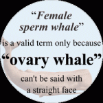 Button: Ovary Whale